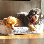 Cheryl Becker - @cheryl.becker.5076 - Instagram