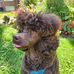 Cheryl Becker - Facebook