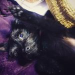 Cheryl Becker - @cherylbecker00 - Instagram
