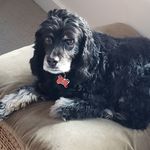 Cheryl Beller - @bellercheryl - Instagram
