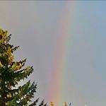 Cheryl Bergeron - @bergeron.cheryl - Instagram