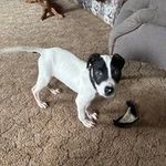 Cheryl Williams Bergeron - @cmbergeron - Instagram
