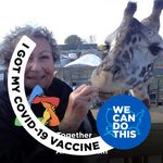 Cheryl Berman - @cheryl.berman.50 - Instagram