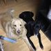 Cheryl Bernstein - Facebook
