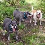 Cheryl Polovin Bernstein - @cherylpolovin - Instagram