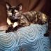 Cheryl Berry - Facebook