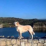 Cheryl Berry - @cherylberry1956 - Instagram