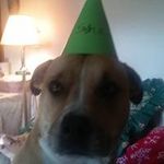 Cheryl Bird - @cheryl.bird.779 - Instagram