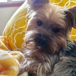 Cheryl Block - @ckmblock - Instagram