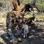 Cheryl Blockey - @cheryl_blockey - Instagram