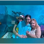 Cheryl Boden - @cherinabo4 - Instagram
