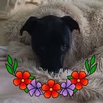 Cheryl Bogan - @bogancl - Instagram
