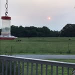 Cheryl Bollinger Hedrick - @hedrick839 - Instagram