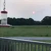 cherylbollingerhe - @cheryl.bollinger - TikTok