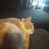 Cheryl bond - @cheryl.bond2 - TikTok