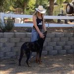 Cheryl Bond Dickey - @bondgirl800 - Instagram
