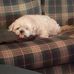 Cheryl Botello - Facebook
