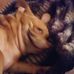 Cheryl Botello Williams - Facebook