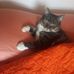 Cheryl Boulanger - Facebook