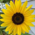 Cheryl Roche Boulanger - @rocheboulanger - Instagram