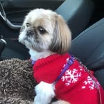 Cheryl Bowie-Gibbs - @chezza2018 - Instagram
