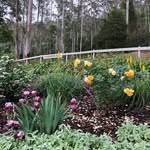 Cheryl Bowker - @cherylbowker - Instagram
