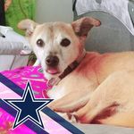 C.A. Bowling - @cheryl.bowling.503 - Instagram