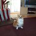 Cheryl Box McLellan - Facebook