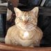 Cheryl Boyce - Facebook