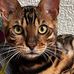 Cheryl Boyce - Facebook