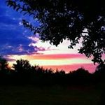 Cheryl Boyce Anderson Carrier - @cherylboyceandersoncarrier - Instagram