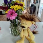 Cheryl Boyer - @redforeverandaday - Instagram