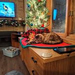 Cheryl Boyer - @cheryl.boyer.3760 - Instagram
