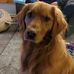 Cheryl Boynton - Facebook