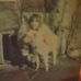 Cheryl Bradley - Facebook