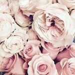 Cheryl Bradley - @cheryl.bradley.54922 - Instagram