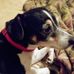 Cheryl Branch - Facebook