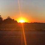 Cheryl Brasel - @cherylbrasel - Instagram