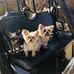 Cheryl Bratcher - Facebook
