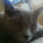 Sheryl Bratcher - @sherylbratcher - Instagram