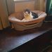 Cheryl Brazier - Facebook