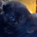 Cheryl Breeden - Facebook