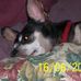 Cheryl Breeden Pickle - Facebook