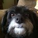 Cheryl Breininger - Facebook