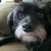 Cheryl Breininger - Facebook