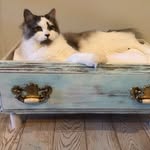 Cheryl Brewer - @critterbedsbycheryl - Instagram