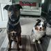 Cheryl Brice - Facebook