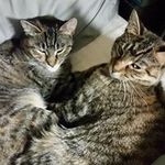 Cheryl Brice - @brice.cheryl - Instagram