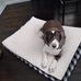 Cheryl Bricker - Facebook