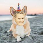 Cheryl Bricker Ciampa - @crazycorgis - Instagram